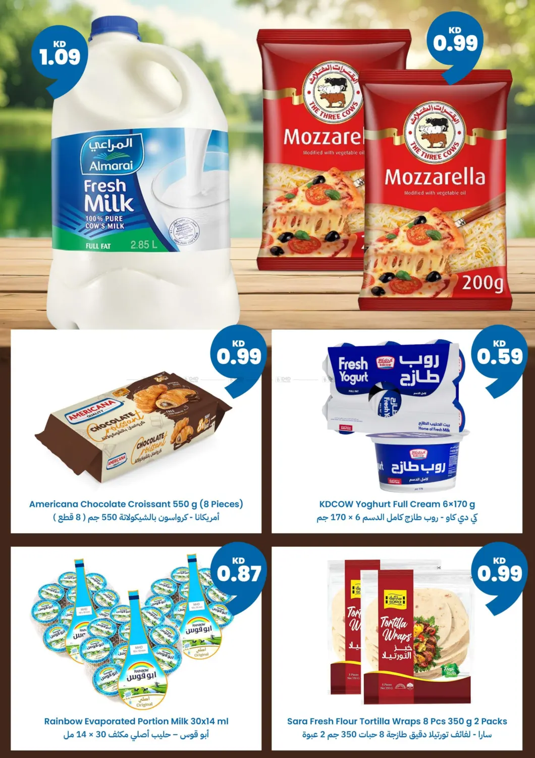 صفحة رقم 5 من عروض الشتاء بلشت في توصيل