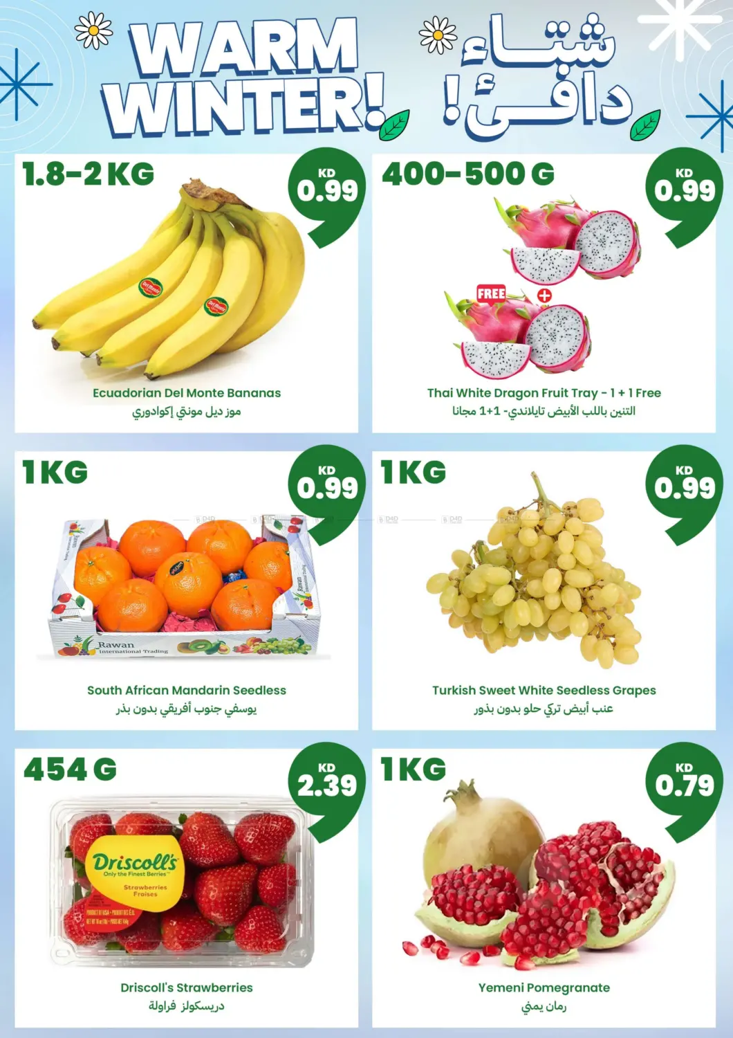 صفحة رقم 3 من عروض الشتاء بلشت في توصيل