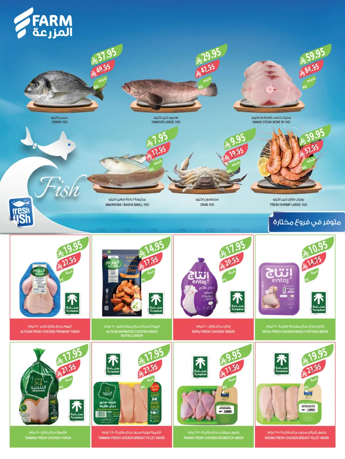 صفحة رقم 7 من مهرجان الميجا في المزرعة