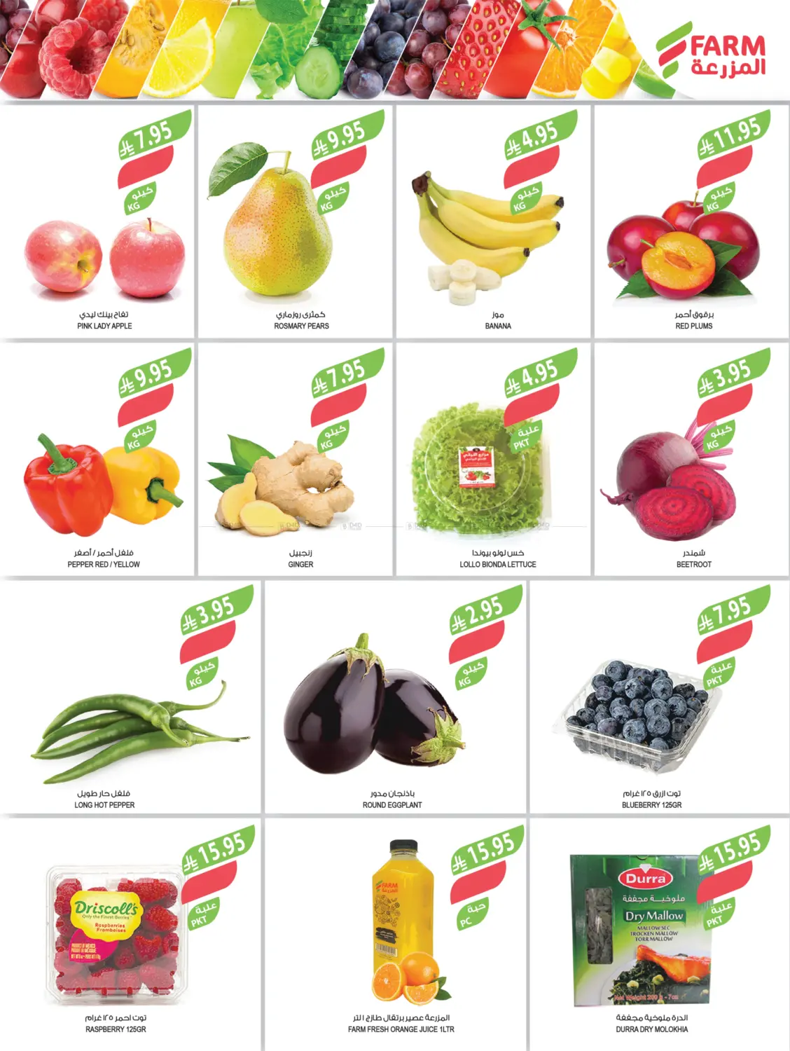 صفحة رقم 4 من مهرجان الميجا في المزرعة