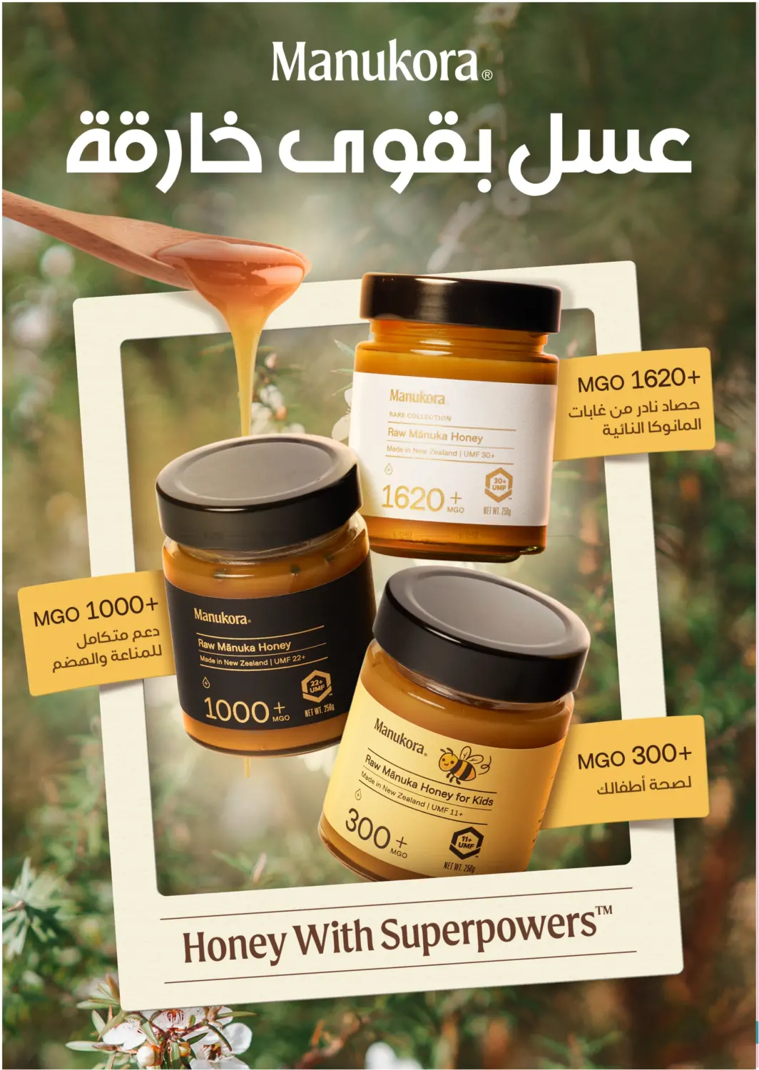 صفحة رقم 65 من عروض الجمعة البيضاء في النهدي