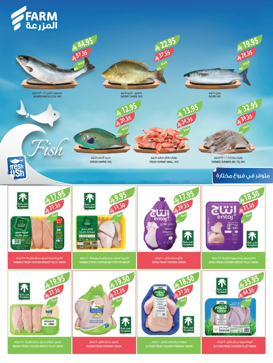 صفحة رقم 5 من مهرجان الخضروات والفواكه في المزرعة