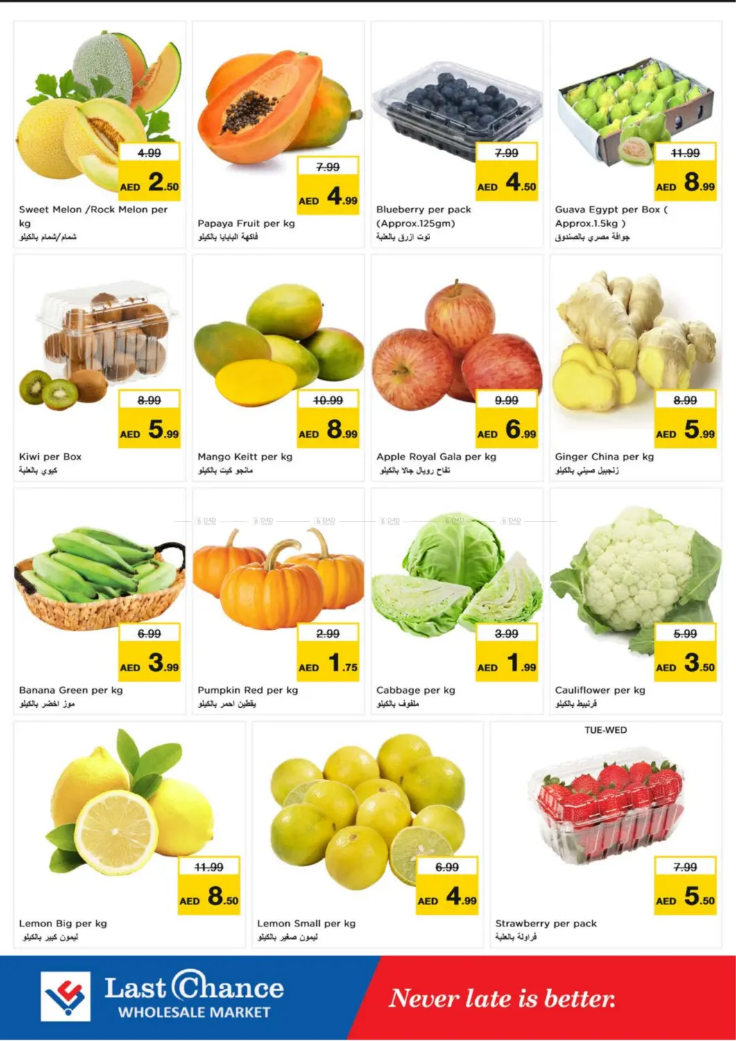 صفحة رقم 2 من العويد، الفجيرة في لاست تشانس