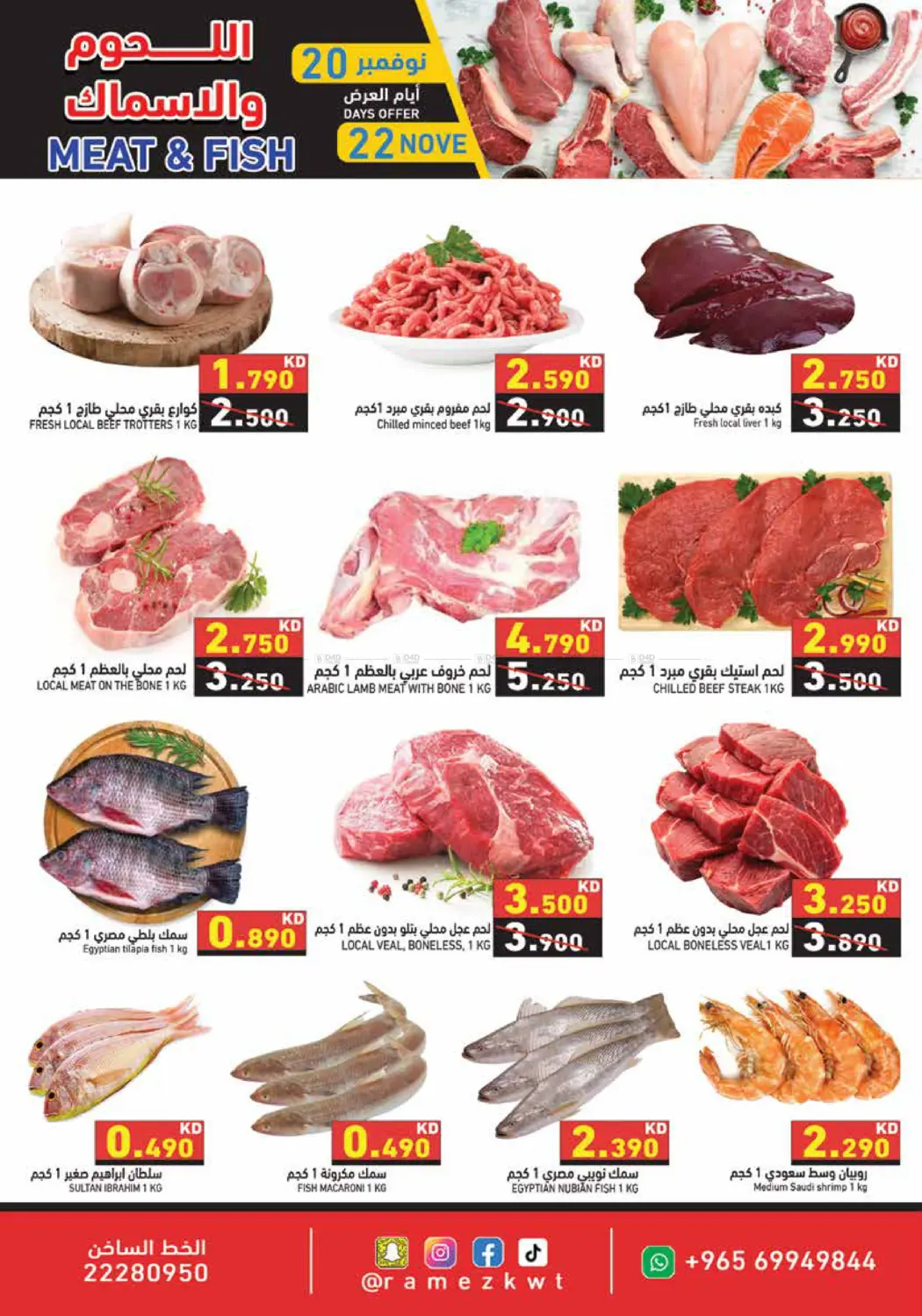 صفحة رقم 13 من عروض نوفمبر البيضاء في رامز