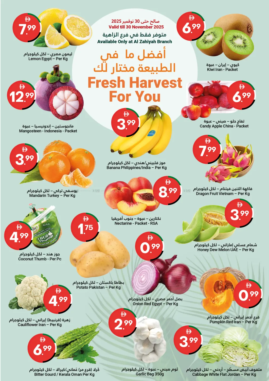 صفحة رقم 2 من Happy UAE National Day في جراند الإمارات للتسوق