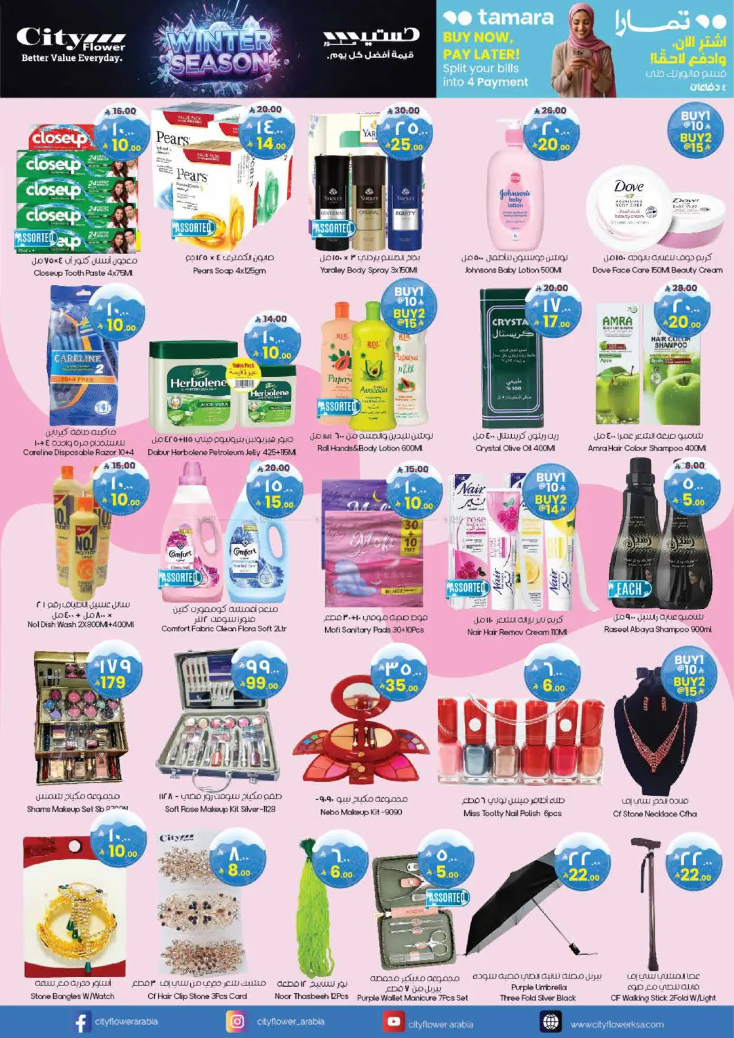 صفحة رقم 2 من موسم الشتاء في ستي فلاور