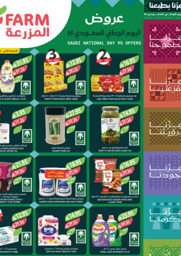 اليوم الوطني السعودي ٩٥ من المزرعة