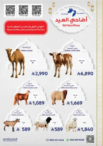 أضاحي العيد من كارفور