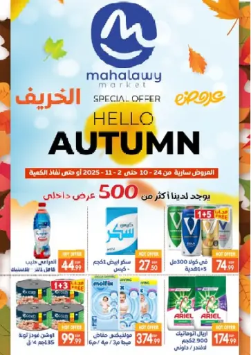 Hello Autumn من أولاد المحاوى