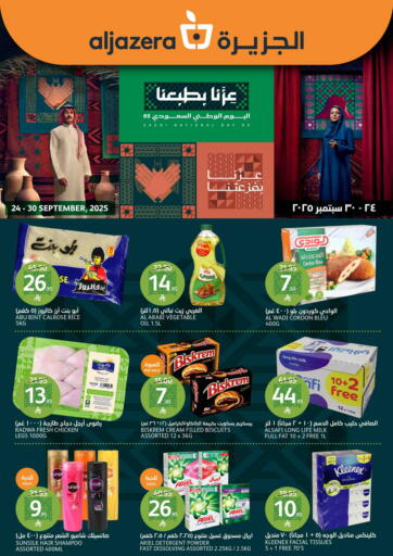 اليوم الوطني السعودي ٩٥ من مركز الجزيرة للتسوق