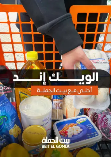 Special Offer من بيت الجملة