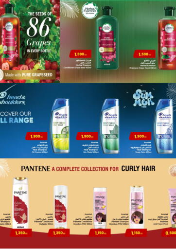 Special Offer