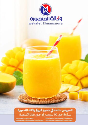 Special offer من وكالة المنصورة - الدقهلية‎